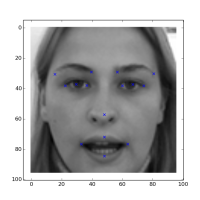 Facial keypoints extraction using Caffe