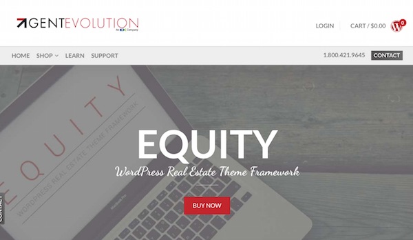 equity