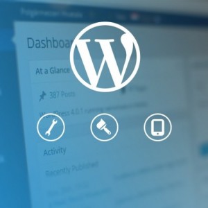 Top 10 WordPress Web Development Service Providers