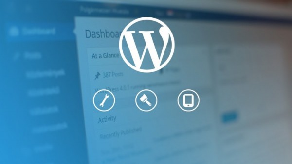 WordPress developer