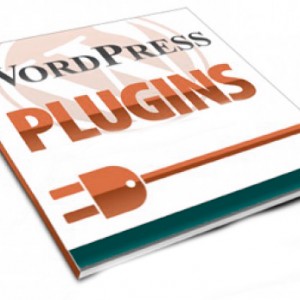 wordpress plugin 2016
