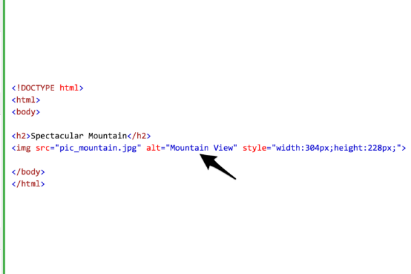 ALT TAGS IN IMAGES